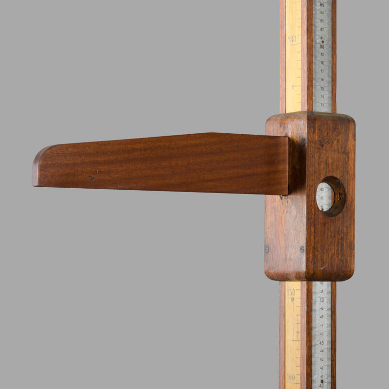 Testut Oak Mesuring Rod - Image 2